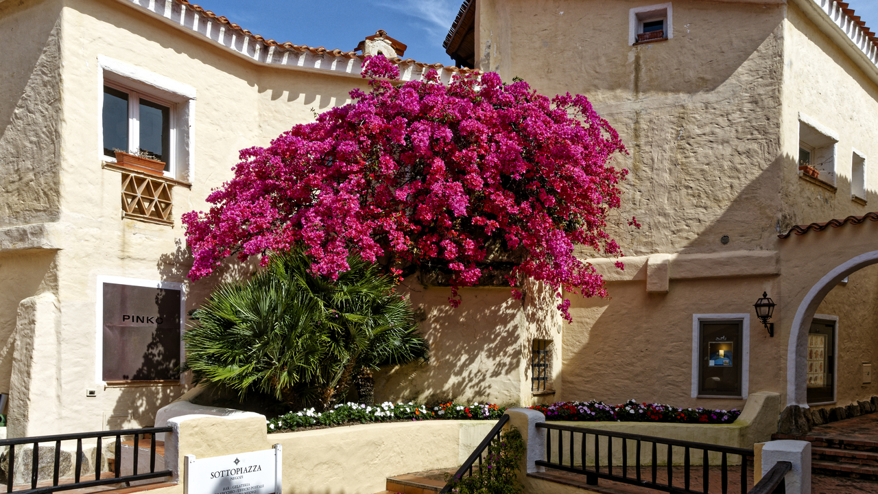 20230524 162003•Arzachena (Porto Cervo)•Sardinia•Italy